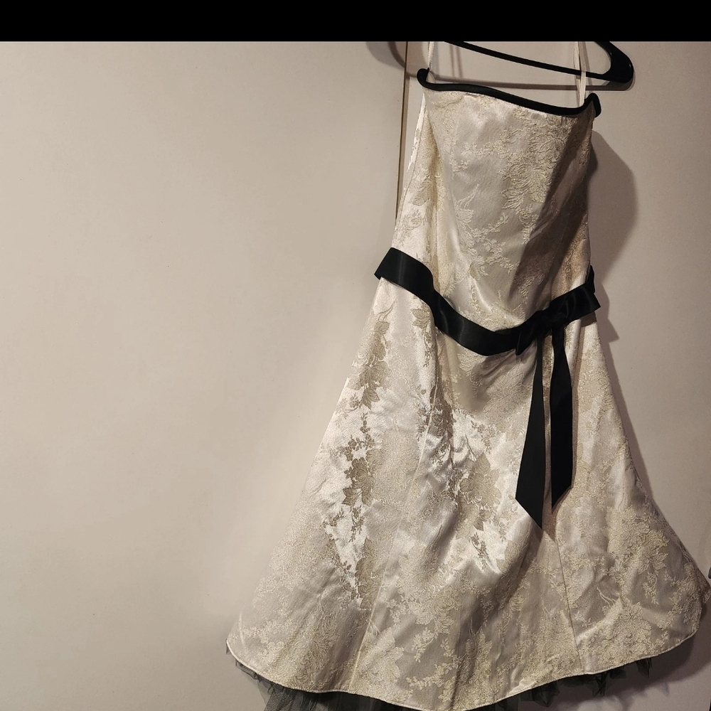 Jessica McClintock Elegant Cream and Black Gown